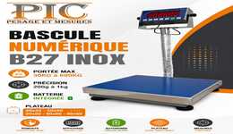 Bascule Industrielle
