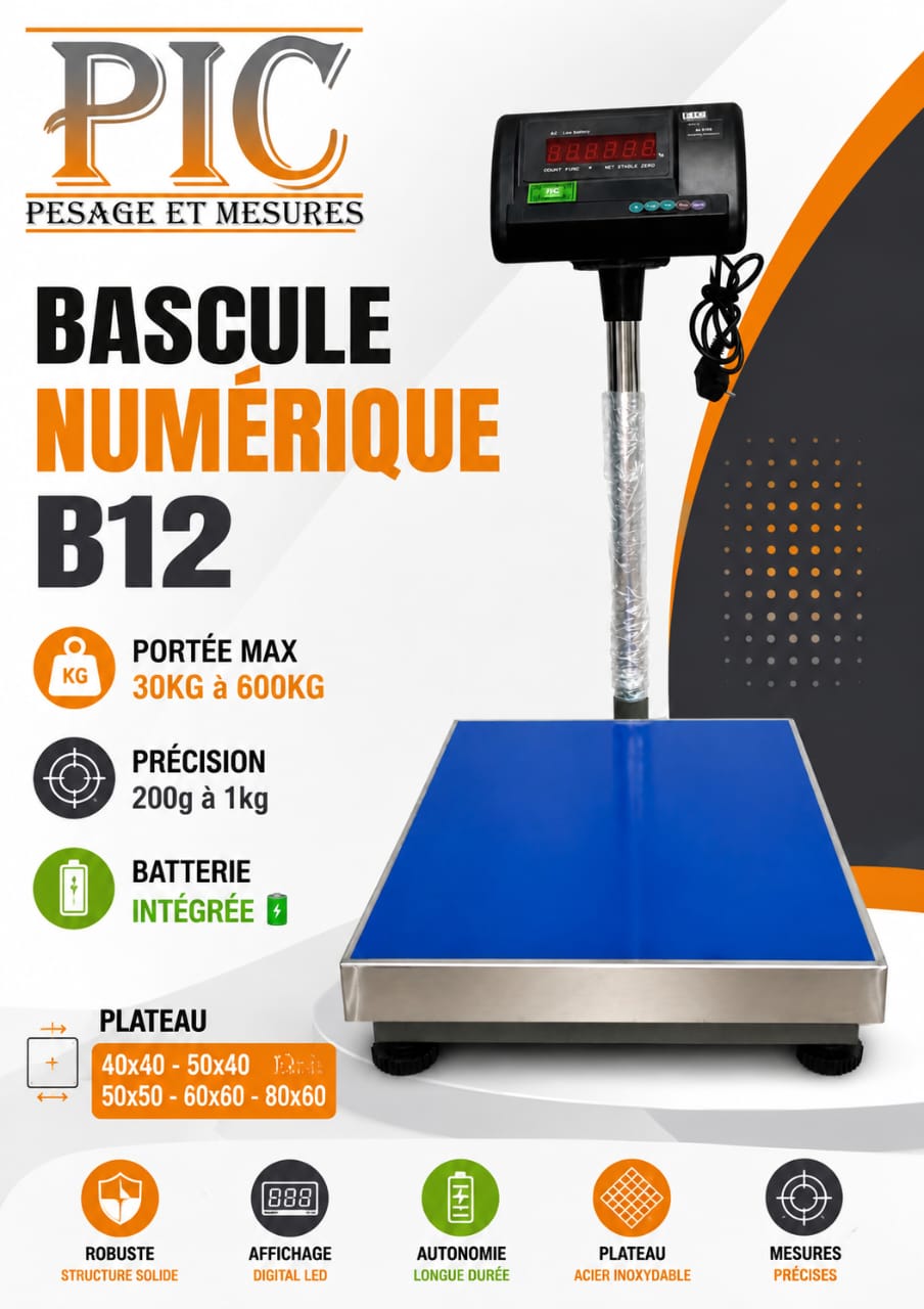 BASCULE NUMÉRIQUE B12